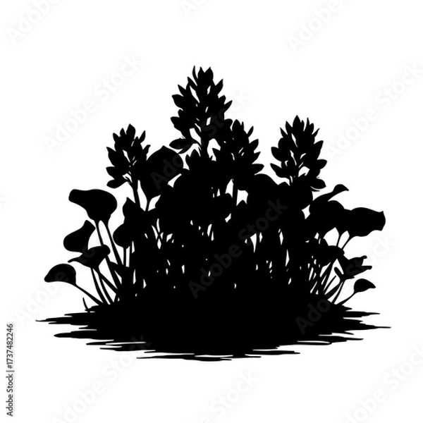 Fototapeta Silhouette of aquatic plant cluster with spiky flowers and broad leaves for nature design silhouette flat design vector illustration white background