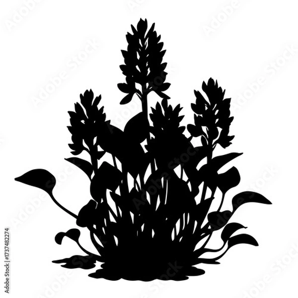 Fototapeta Silhouette of a lush flowering aquatic plant with broad leaves and tall bloom spikes isolated on white. silhouette flat design vector illustration white background