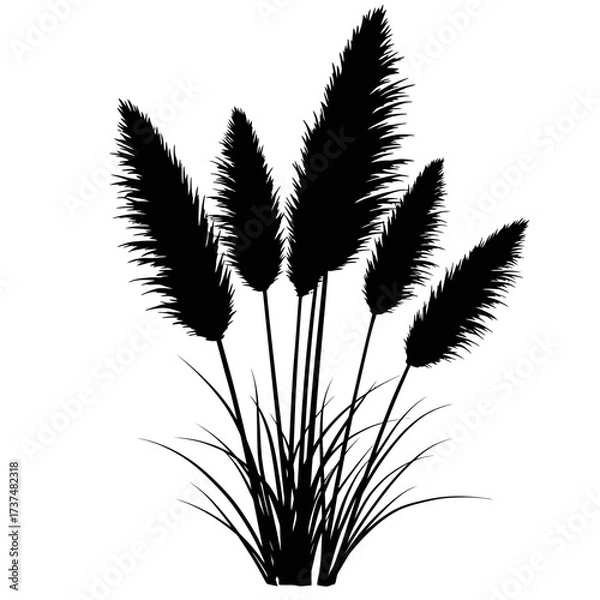 Fototapeta Silhouette of pampas grass plumes elegant botanical design for decorative use silhouette flat design vector illustration white background