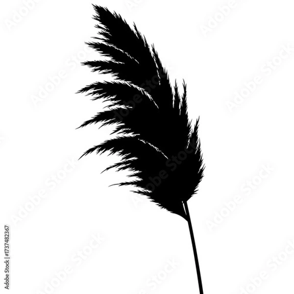 Fototapeta Elegant black silhouette of pampas grass plume for natural and decorative design projects silhouette flat design vector illustration white background