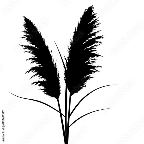 Fototapeta Silhouette of tall grass plumes elegant and minimalist botanical design for natural ambiance silhouette flat design vector illustration white background