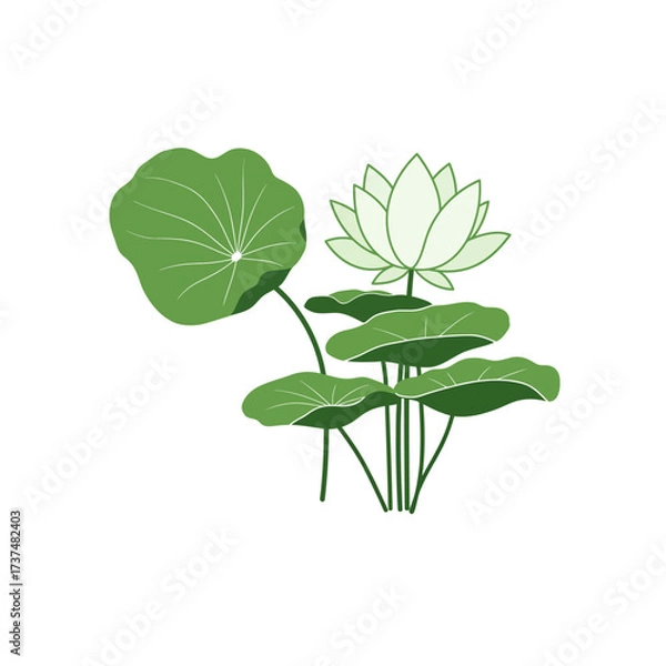 Fototapeta Serene lotus flower and lily pad bloom delicate botanical art for tranquil designs silhouette flat design vector illustration white background