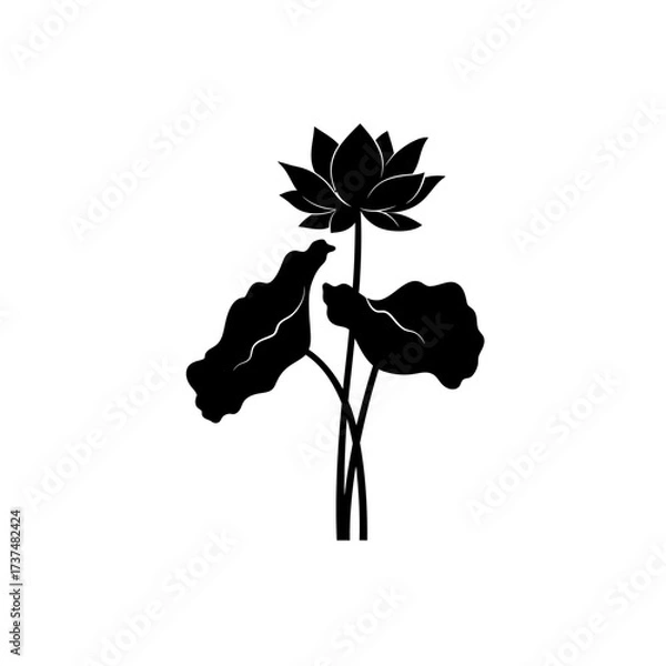Fototapeta Elegant silhouette of a blooming lotus flower with large leaves in artistic black and white silhouette flat design vector illustration white background