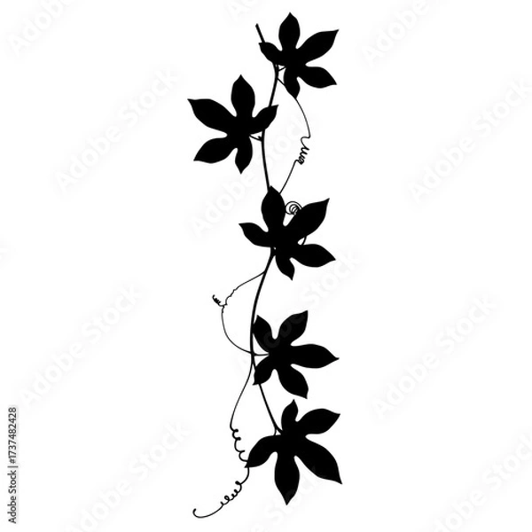 Fototapeta Elegant silhouette of a passion flower vine with five star-shaped leaves silhouette flat design vector illustration white background