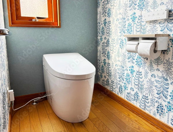 Obraz 綺麗なトイレの便器