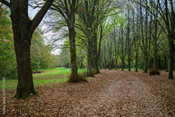 Fototapeta Autumn Path Amsterdamse Bos