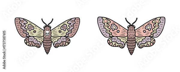 Obraz Realistic hawk moth butterfly doodle clip art collection. Perfect for banner, poster, logo, sticker, label, sale. Hand drawn vector illustration.