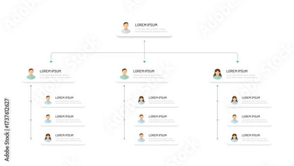 Fototapeta Corporate organizational structure of a business company. Modern simple hierarchy design in the company. Boss and subordinates, avatar icons. Infographics, corporate tree