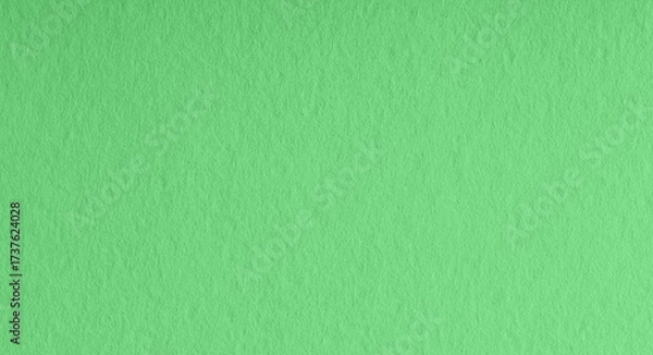 Fototapeta Smooth Green Paper Texture Background