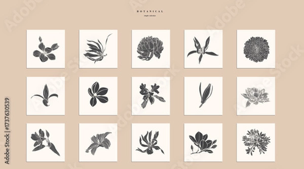 Fototapeta Illustration with big collection of spring and garden flowers frame background. Big set with garden and tropical flowers. Decorative element, card, logo, poster.