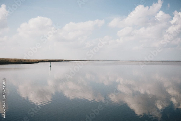 Obraz Reet am Dollart