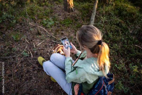 Fototapeta Top view woman hiker photographing mushrooms in basket on forest clearing, blogging with smartphone. Backpacker vlogging sharing photos on social media, online post preparation, forager photographer