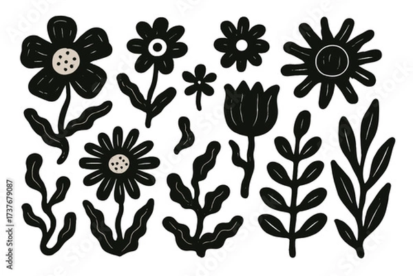 Fototapeta Stylized black and white floral elements and botanical leaf shapes collection