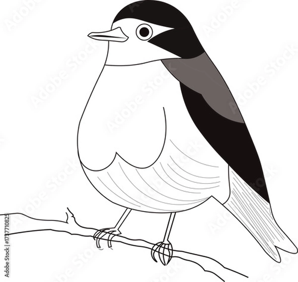 Fototapeta Bird Sitting on Branch Vector Illustration