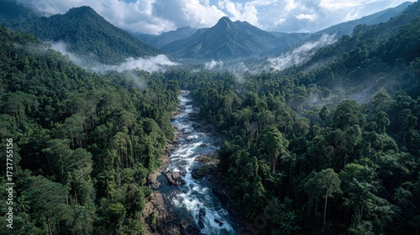 Obraz The relationship between forestry and indigenous rights