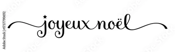 Fototapeta JOYEUX NOEL (HAPPY CHRISTMAS in French) black vector brush calligraphy banner with swashes