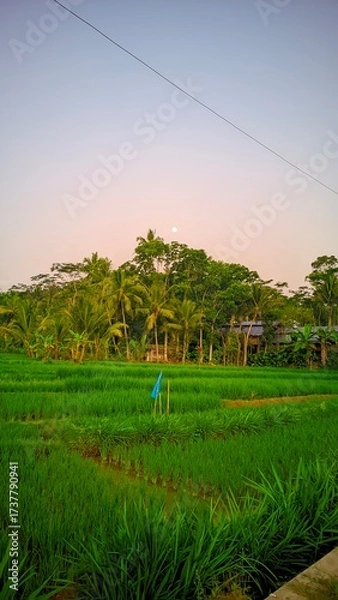 Fototapeta landscapes
