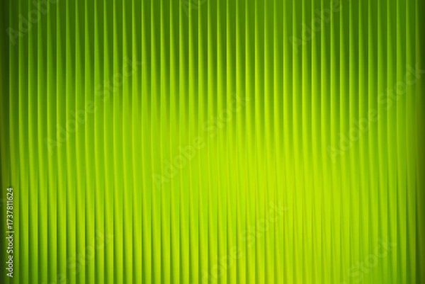 Fototapeta Vibrant green gradient background with vertical lines texture