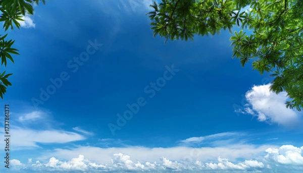 Obraz Blank Blue Sky With Fluffy Clouds And Green Tree Branches In The Foreground Providing Copy Space Image