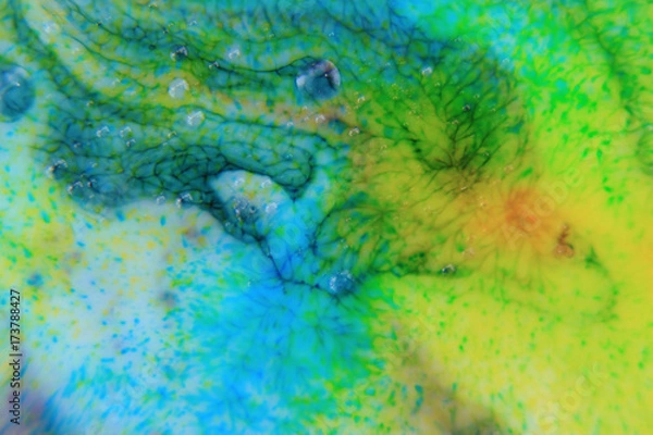 Fototapeta Abstract Bubbles Macro