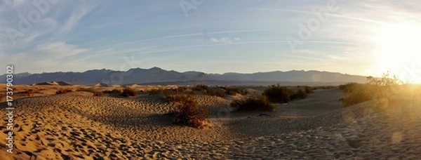 Obraz Mesquite Dunes