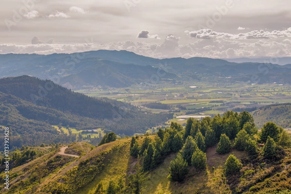 Fototapeta A fir forest in a top of a hill at sunset, with a view of the Cucaita village and the farm lands all around, in the eastern Andean mountains of central Colombia.