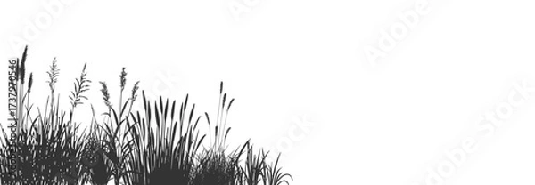 Fototapeta Wild cattails and reeds on the river shore. Silhouette set.