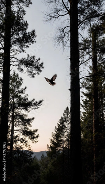Fototapeta Bird flying over forest trees at dusk, concept of bird migration  