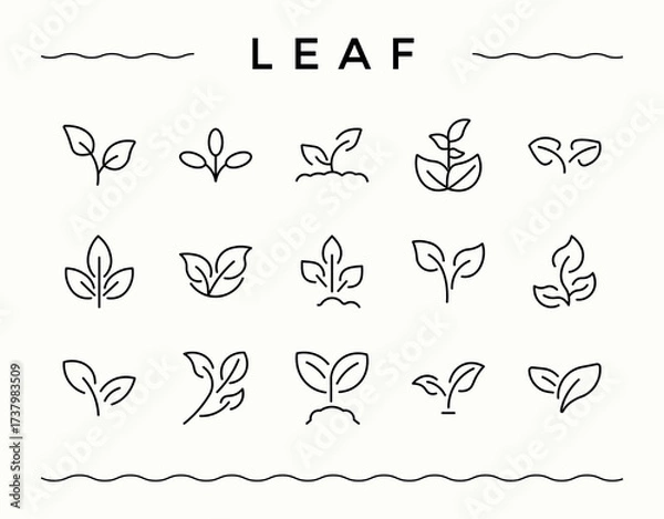 Fototapeta Leaf icon set. Minimal icons collection. Contains such icons as ecology, leaves, basil, plant, tree, natural, eco. Pixel perfect. Editable stroke. Leaves line icon set.