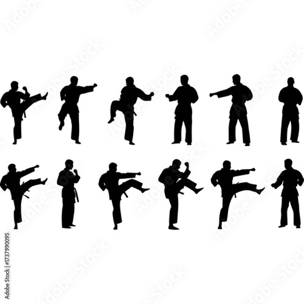 Fototapeta Silhouettes of Karate Practitioners in Various Poses.