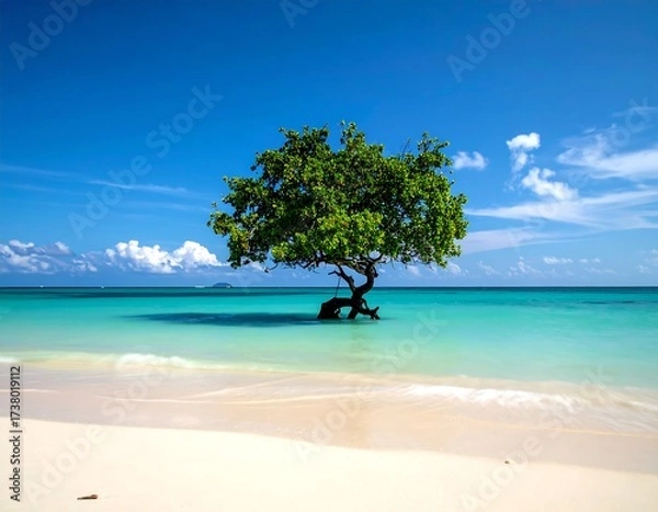 Fototapeta Tropical beach scene with lone tree