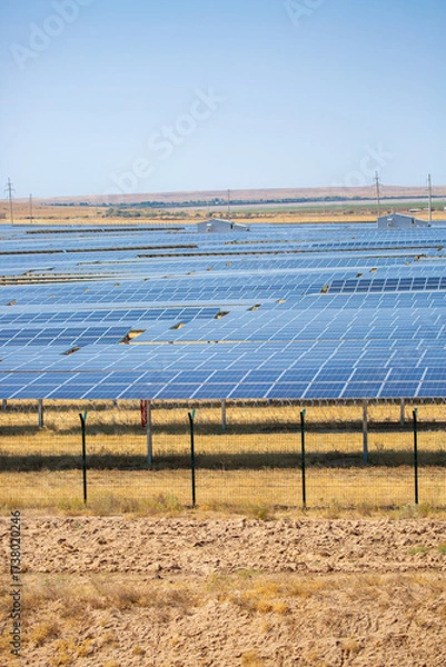 Fototapeta Solar panel fields in large quantities. Solar panels as alternative energy sources safe for the environment.