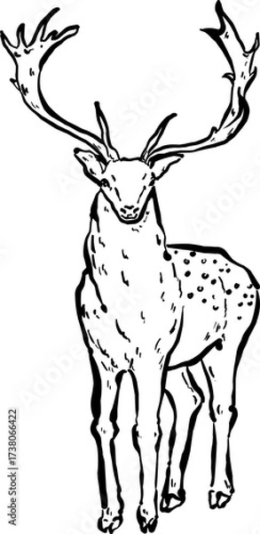 Fototapeta deer silhouette hand drawn sketch vector