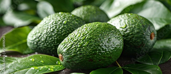 Fototapeta Fresh avocados on leaves with water drops