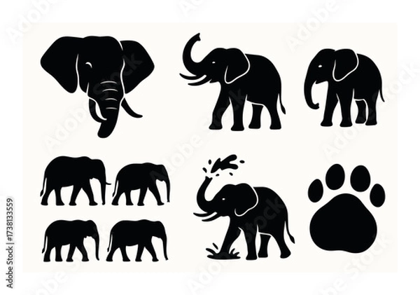 Fototapeta Silhouette set of elephant illustrations featuring various poses and footprint