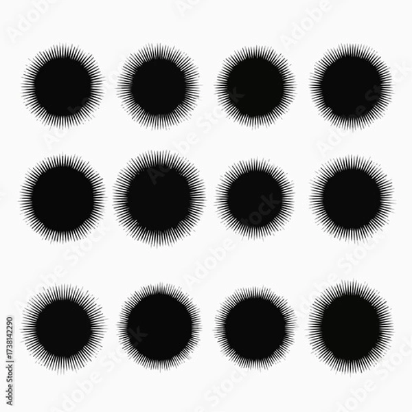Fototapeta Collection of twelve black spiky starburst or sunburst shapes on white background