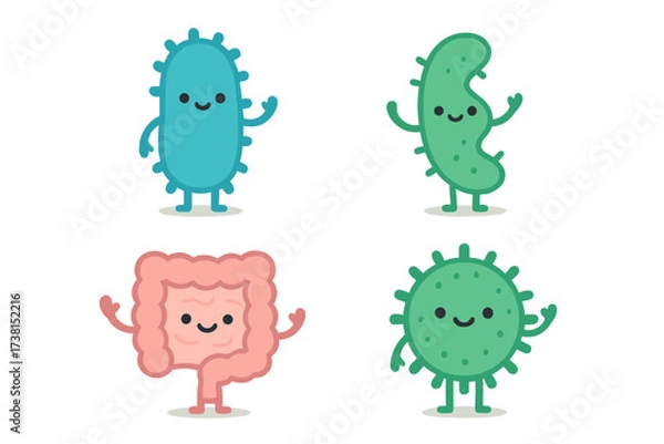 Obraz Cute good bacteria and intestine characters. Gut microflora, probiotics, and friendly microbes. Healthy digestion and human microbiome concept. Vector flat illustration icon set.