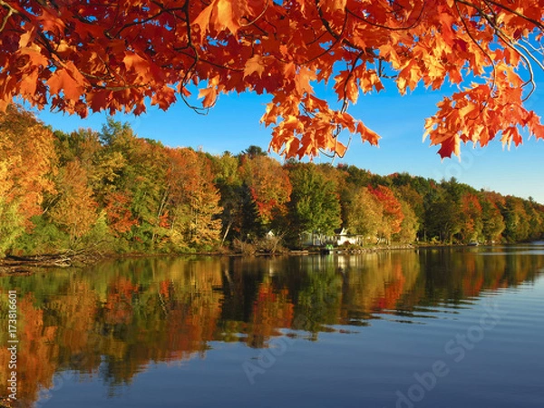 Fototapeta Autumn colors reflected in a Vermont Lake