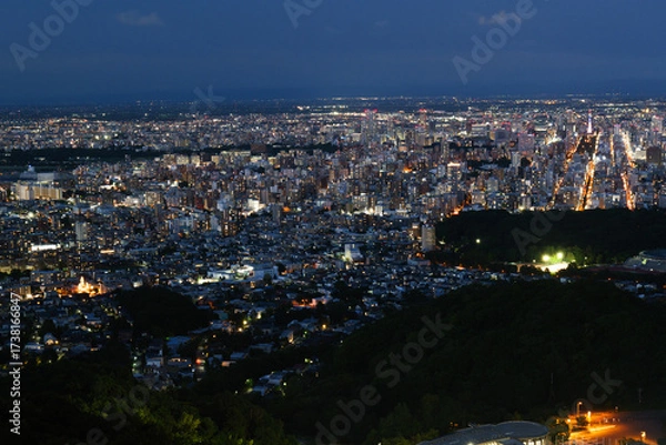 Fototapeta 夏の大倉山から見た札幌市街の夜景
