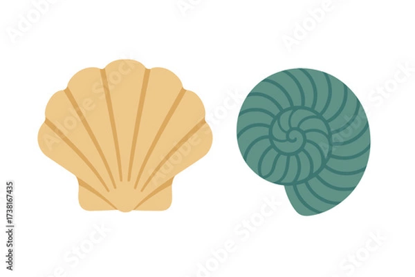 Fototapeta Stylized marine shells featuring a scallop and a spiral nautilus design