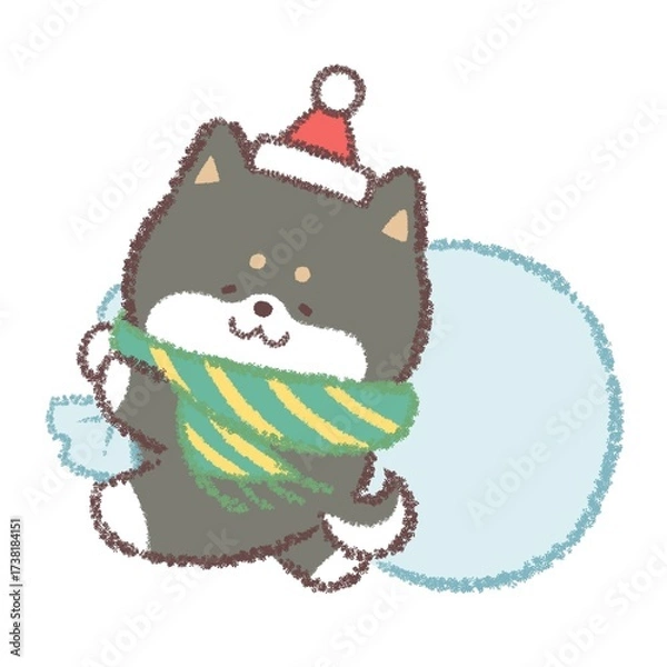 Fototapeta 黒柴犬サンタクロース