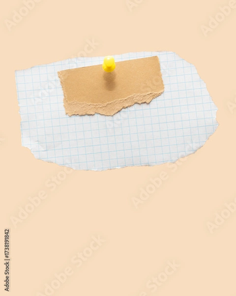 Fototapeta Torn piece of school notebook in a grid and brown piece of paper with beige tape and a pin on beige background
