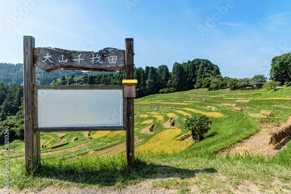 Obraz 千葉県鴨川市 日本の棚田百選 大山千枚田の棚田