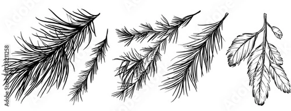 Fototapeta This set features exotic palm leaves in a distinctive, tropical style that blends bold, grunge-inspired doodles with the organic feel of hand-drawn brush work in ink