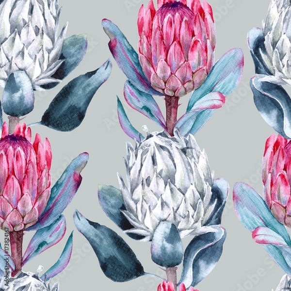 Obraz Background of flowers protea. Seamless pattern.