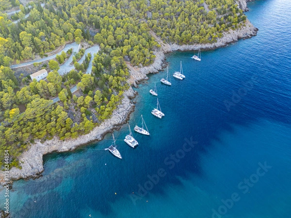 Fototapeta Aerial Drone View of Catamarans Moored Along the Forested Coastline at  Assos, Kefalonia, Greece