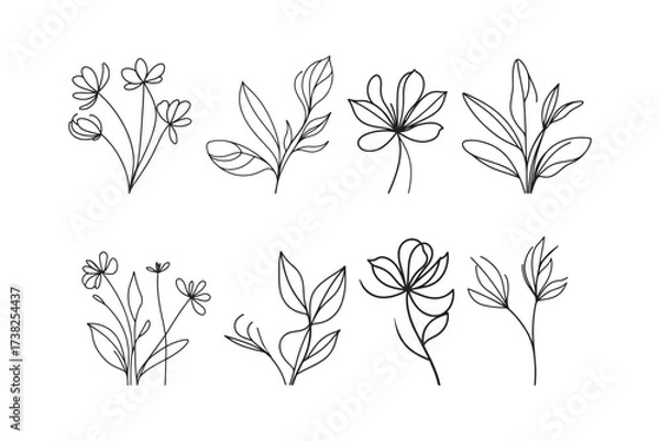 Fototapeta Elegant botanical line art designs for modern print projects
