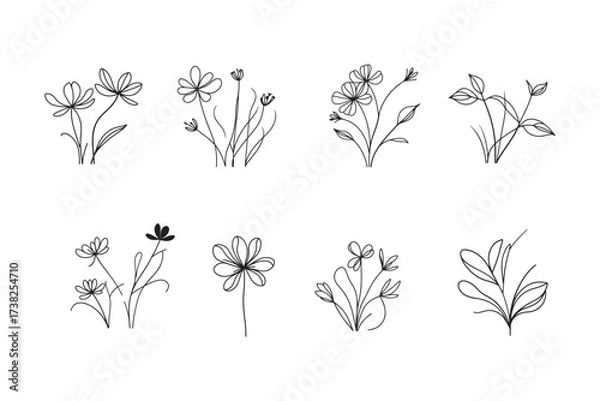 Fototapeta Elegant floral line art elements for modern design projects