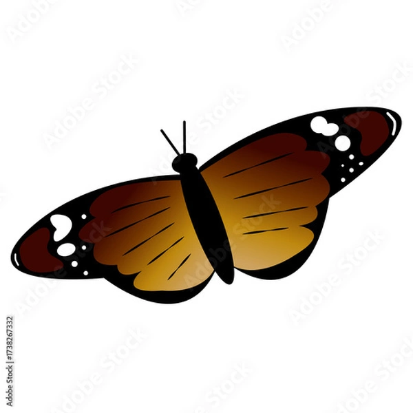Obraz Danaus Chrysippus Butterfly with Distinctive Wing Pattern. African Monarch Butterfly in Natural Pose. Intricate Insect Wing Art. Species Specific Butterfly Graphic. Detailed Lepidoptera Illustration.