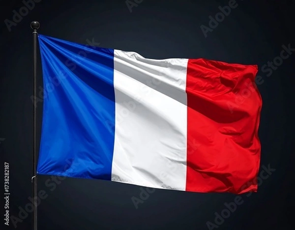 Obraz French flag billowing in the wind against a dark background